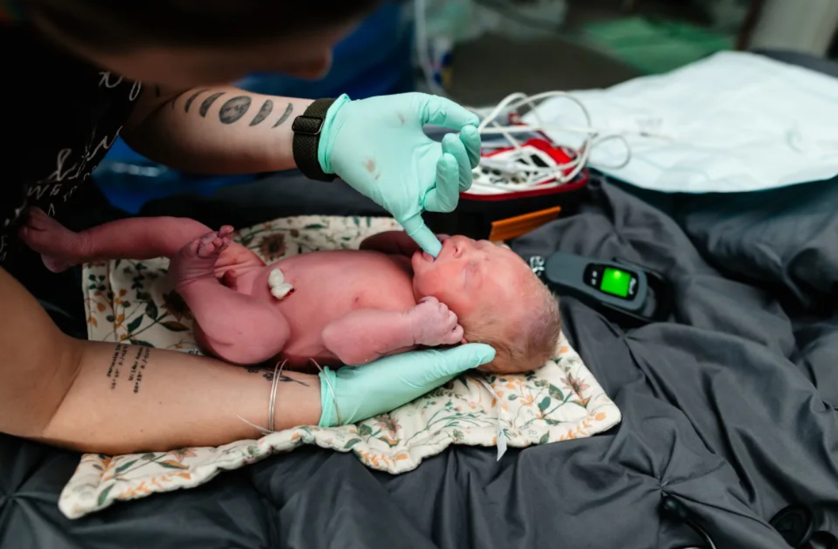 newborn cared for gently in their midwife's hands